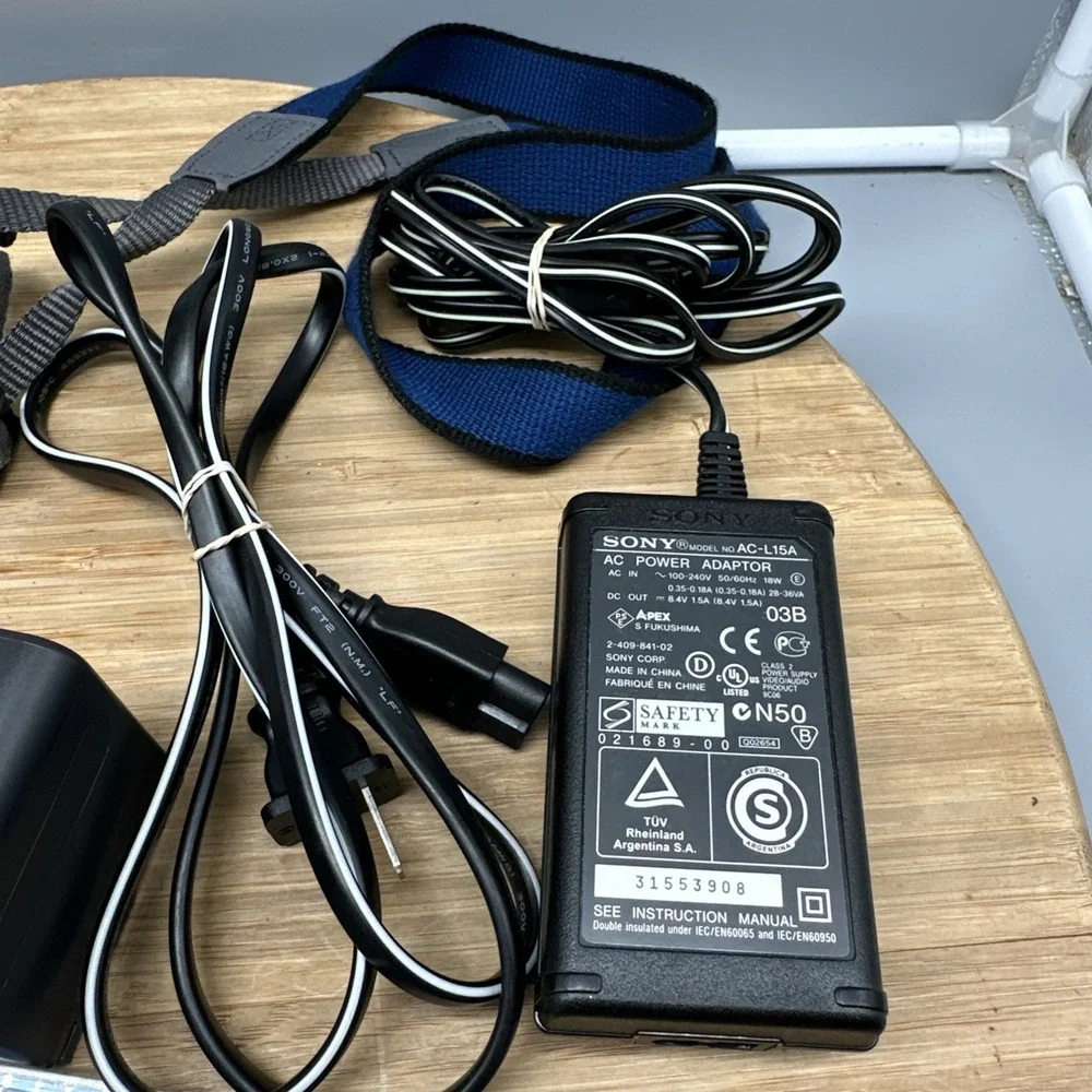 Sony HandyCam DCR-DVD300 Digital Video Camera Recorder Bundle w/ Charger & Accs